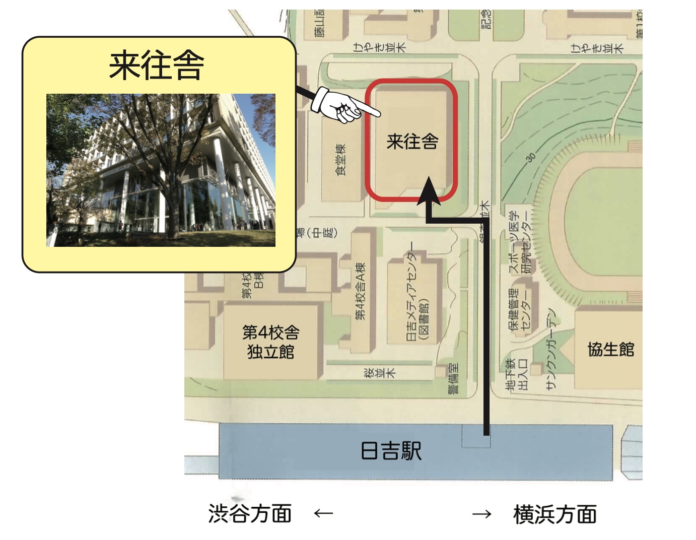 慶應義塾大学日吉キャンパス来往舎までの案内地図：「日吉駅」の１階の改札を背にして、東急百貨店に向かって右側に音響信号機つきの横断歩道がありますので、渡ってください。横断歩道を渡ると、慶應義塾大学・日吉キャンパスです。横断歩道を渡ってから、銀杏並木に沿って進んでください。銀杏並木に沿ってまっすぐに進んむと、左手に来往舎の建物が見えてきます。一つ目の角を左に曲がれると、すぐ右側に来往舎の入口が見えます。正面の階段もしくはさらに進んだ先にあるスロープで来往舎に入ってください。メイン会場であるシンポジウムスペースは来往舎の１階にあります。また、第２会場（大会議室）が２階にあります。第２会場では、大会の様子をオンラインで視聴できます。また、第２会場には、書籍展示があります。なお、緊急連絡先（中野泰志研究室）は 045-566-1221 です。当日の9時〜17時のみ対応可能です。