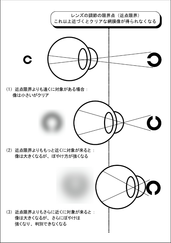 ʏA30cm̋30ptՊETCYꍇA30cmł15|Cg̕TCYǂލۂ̓Ǐx͒ቺBRł́Apivisual anglej𓯈ɂ邱Ƃzł邽߁AP^QAȂ킿A15cmɂ΁AőǑxێł邱ƂɂȂBAߓ_E߂Âꍇɂ́AԖڂ₯Ă܂߁AőǏxێłȂȂĂ܂